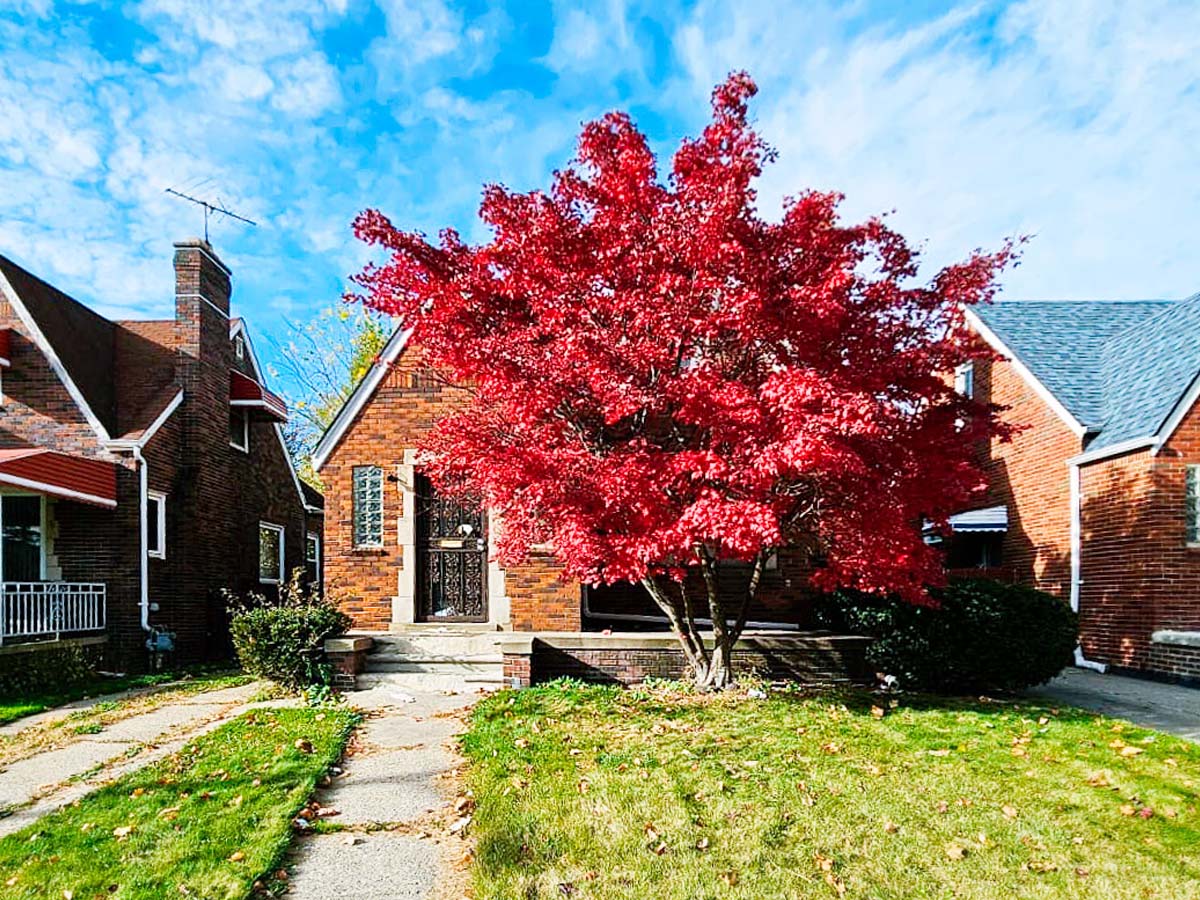 17157 Rowe St, Detroit, MI 48205 — photo 1